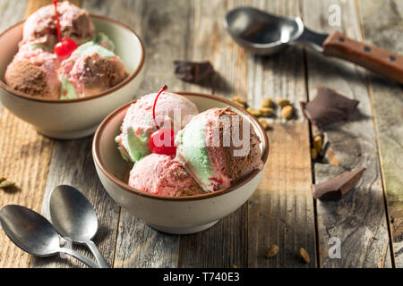 Süße Spumoni Eis mit Cherry Pistazien und Schokolade Stockfoto