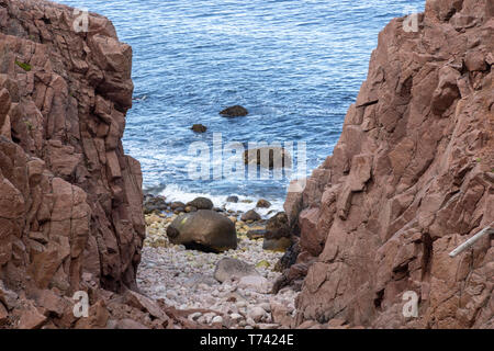 Fluss und Meer entlang der felsigen Küste mit schwerem Wasser fließen in einem Waldgebiet, Motion Fluss Stockfoto