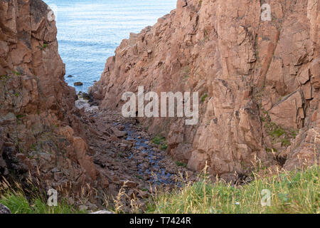 Fluss und Meer entlang der felsigen Küste mit schwerem Wasser fließen in einem Waldgebiet, Motion Fluss Stockfoto