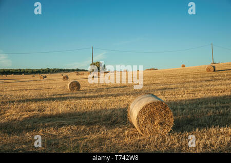 Ländliche Landschaft mit Heuballen auf Feld bedeckt mit trockenem Stroh in einem Bauernhof in der Nähe von Elvas. Eine liebenswürdige Stadt am östlichsten Grenze von Portugal. Stockfoto