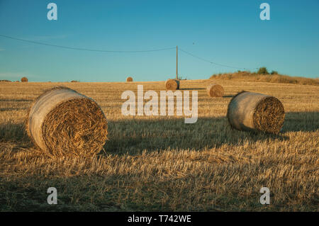 Ländliche Landschaft mit Heuballen auf Feld bedeckt mit trockenem Stroh in einem Bauernhof in der Nähe von Elvas. Eine liebenswürdige Stadt am östlichsten Grenze von Portugal. Stockfoto