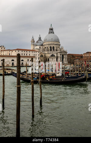 Blick über den Canal Grande auf die Basilica di Santa Maria Delia Salute Stockfoto