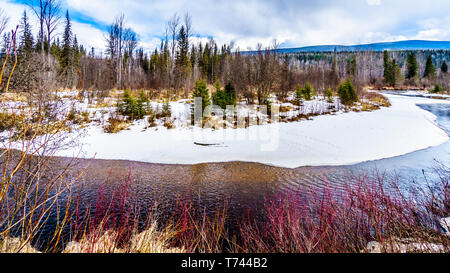 Schnee und Eis an den Bächen und Feuchtgebieten im Winter Wells Gray Provincial Park in den Cariboo Mountains von British Columbia, Kanada Stockfoto