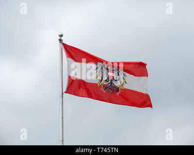 Österreichische Fahne mit Bundesadler Wappen und roten, weißen und roten Farben Fliegen auf grauem Hintergrund Stockfoto