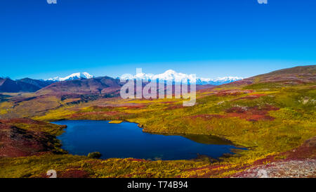 Denali National Park wie von Peters Hills mit20320' Mount Denali gesehen, Wissen formal als Mount McKinley und die Alaska Range Stockfoto