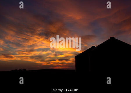 Silhouette von ein paar große metal Korn Fächer mit den bunten warm leuchtenden Wolken und Himmel bei Sonnenuntergang; Beiseker, Alberta, Kanada Stockfoto