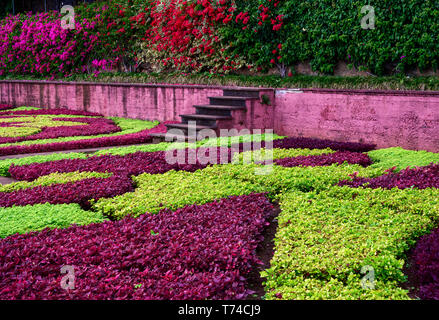 Formale Blumenbeeten und rosa gestrichene Wand im Botanischen Garten von Madeira, Funchal, Madeira, Portugal Stockfoto