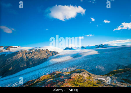 Kenai Fjords National Park und Ausfahrt Glacier an einem hochsommerlichen Tag ab dem Harding Icefield Trail im Süden gesehen - zentrales Alaska Stockfoto