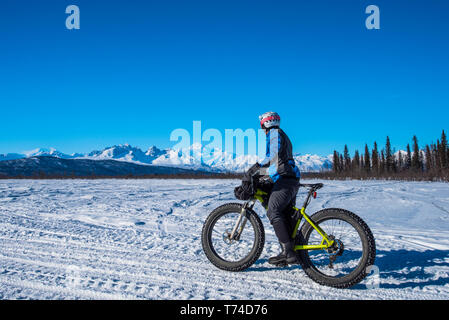 Ein Mann auf einem Fatbike auf dem Chulitna Bluff Trail an einem sonnigen Wintertag. Die Alaska Range und der 20,230' Mount Denali (McKinley) im Hintergrund... Stockfoto