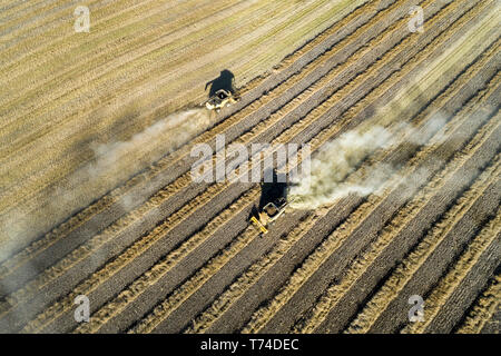 Luftbild von oben auf den zwei Mähdrescher ernten Reihen von cut Raps, westlich von Beiseker, Alberta, Kanada Stockfoto