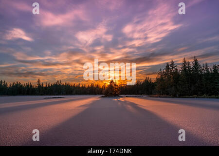 Winter Nachmittag am Mendenhall Lake, Juneau, Alaska, Vereinigte Staaten von Amerika Stockfoto