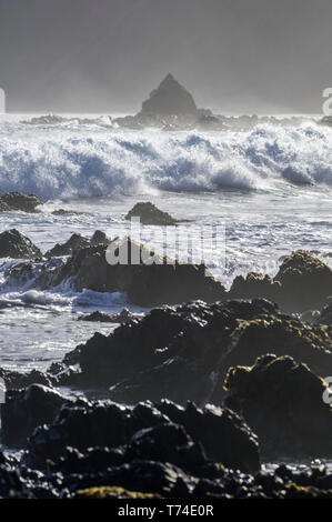 Wellen spritzen, wie sie in der Nähe der Ufer und schroffe Felsen entlang der Südküste brechen; Wellington, Neuseeland Stockfoto