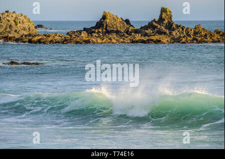 Wellen spritzen, wie sie in der Nähe der Ufer und schroffe Felsen entlang der Südküste brechen; Wellington, Neuseeland Stockfoto