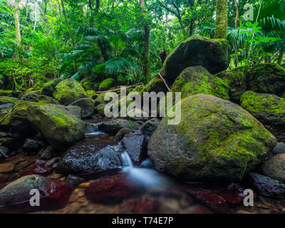 Strom, der durch die üppige Vegetation in einem Regenwald in Hawaii, Oahu, Hawaii, Vereinigte Staaten von Amerika Stockfoto