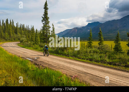 Ein Mann fett Radfahren auf dem nabesna Road in Wrangell-St. Elias National Park an einem bewölkten Sommertag im Süden - zentrales Alaska Stockfoto