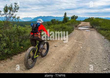 Ein Mann fett Radfahren auf einem Feldweg in der Nähe von Eurika an einem bewölkten Sommertag im Süden - zentrales Alaska; Alaska, Vereinigte Staaten von Amerika Stockfoto