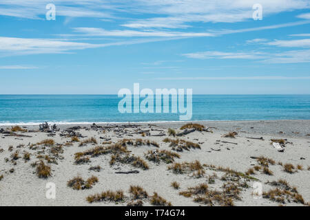 Die Tasmanische See Küste bei Ship Creek, West Coast, South Island, Neuseeland Stockfoto