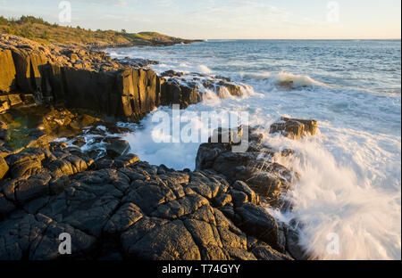 Basalt Felsen, Dartmouth, Bucht von Fundy; Long Island, Nova Scotia, Kanada Stockfoto