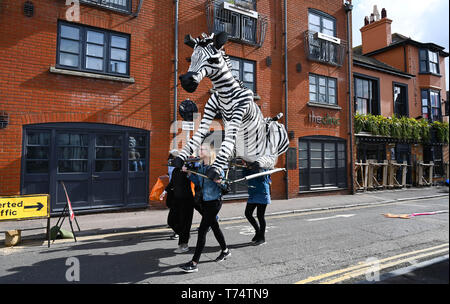 Brighton UK 4. Mai 2019 - eine riesige zebra Marionette auf dem Weg an der jährlichen Brighton Festival Kinder Parade durch die Stadt mit dem Thema "Märchen aus aller Welt". Organisiert von der gleichen Himmel Arts Group die Parade startet traditionell von dem 3 Woche arts Festival mit diesem Jahre Gast Direktor der Singer Songwriter Rokia Traore. Foto: Simon Dack/Alamy leben Nachrichten Stockfoto