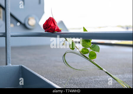 Wilhelmshaven, Deutschland. 04 Mai, 2019. Die Rose von der Marine des Einsatzgruppenversorgers "Bonn" wird nach der Rückkehr zum naval Port auf dem Schiff an einem Geländer gesehen werden. Die naval Schiff hatte an einer NATO-Mission in die Ägäis beteiligt und unterstützt die Küstenwache der Türkei und Griechenland gibt. Credit: mohssen Assanimoghaddam/dpa/Alamy leben Nachrichten Stockfoto