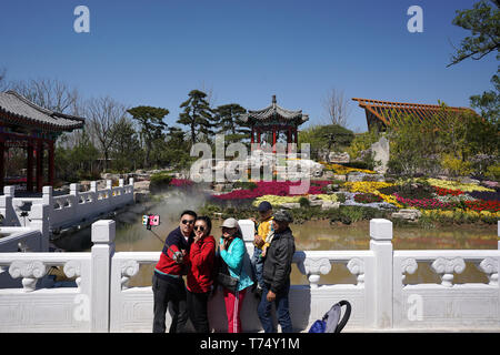 (190504) - BEIJING, Mai 4, 2019 (Xinhua) - Besucher nehmen an der Beijing selfies Garten an der Internationalen Gartenbauausstellung 2019 in Peking Yanqing Bezirk von Peking, der Hauptstadt von China, 1. Mai 2019. Peking Internationale Gartenbauausstellung der ersten touristischen Höhepunkt von mehr als 320.000 Touristen während der 4-tägigen Mai Tag Urlaub begrüßt, der Veranstalter sagte Samstag. Etwa 132 Tätigkeiten, einschließlich schwimmstellung Paraden, Welt der ethnischen und kulturellen Darbietungen, und Kunst und Kultur Karneval von Mittel- und Osteuropäischen Ländern inszeniert, wurden während der Ferien statt. Stockfoto