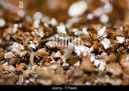 Nahaufnahme Foto von kleinen Felsen spa Hintergrund Stockfoto