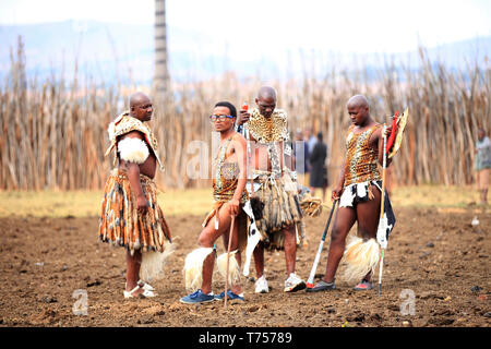 Tag 2: Der Bräutigam Familie im Kraal. In diesem Bild die Männer tragen traditionelle isiZulu Kleidung, wie sie sich aus den Zulus sind ist South Afric Stockfoto