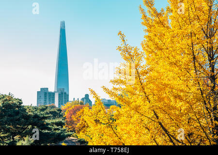 Seoul, Korea - November 2, 2018: Lotte World Tower und Gelb ginkgo Baum im Herbst Stockfoto