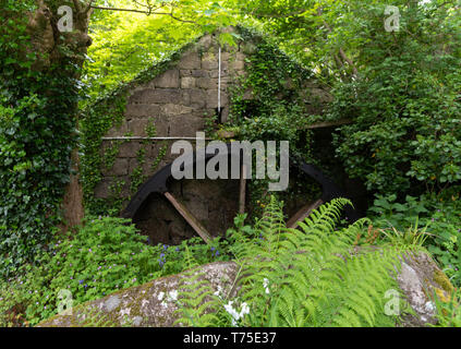 Lamorna Wassermühle, Cornwall, Großbritannien Stockfoto