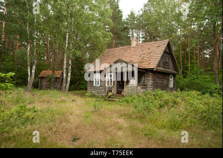 Hütte des Königs der Biebrza (Biebrza Nationalpark, Polen) Stockfoto