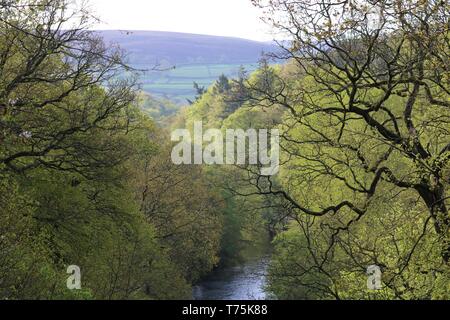 Bolton Abbey und Foulshaw Moss Stockfoto