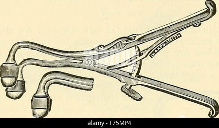 Katalog der Sharp & Smith: Importeure, Hersteller, Großhändler und Einzelhändler in chirurgischen Instrumenten, Mißbildung, Apparate, künstliche Gliedmaßen, künstliche Augen, elastische Strümpfe, Traversen, Krücken, Unterstützer, galvanische und faradischer Batterien, etc., Apparate, Chirurgen jeder Beschreibung Stockfoto