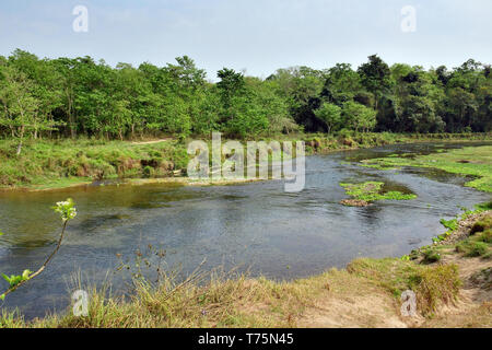 Chitwan Nationalpark, Nepal, UNESCO Weltkulturerbe Stockfoto