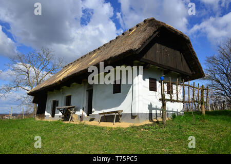 Altes Haus, Ort Filovci brennen Filóc, Slowenien, régi Ház Stockfoto