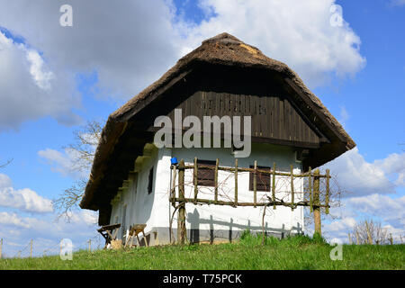 Altes Haus, Ort Filovci brennen Filóc, Slowenien, régi Ház Stockfoto