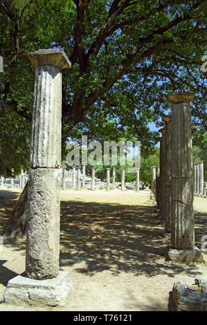 Antike dorische Säulen in der Palästra, Olympia, Peloponnes, Griechenland Stockfoto