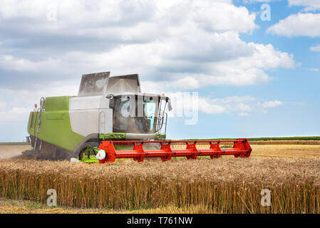 Mähdrescher ernten goldene Weizen. Landwirtschaft! Stockfoto