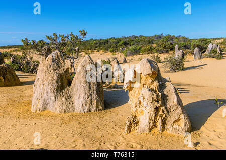 Details zu den Pinnacles Wüste mit dem Felsen vom Wind und Regen sculpted, Western Australia Stockfoto