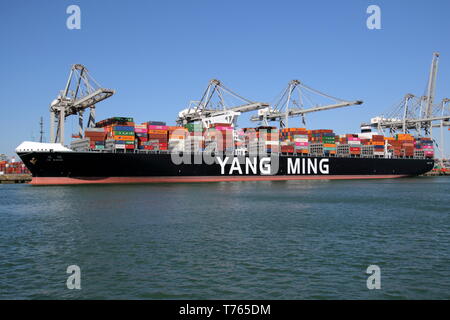 Das containerschiff YM Weisheit wird geladen und im Hafen von Rotterdam Entladen am 10. April 2019. Stockfoto