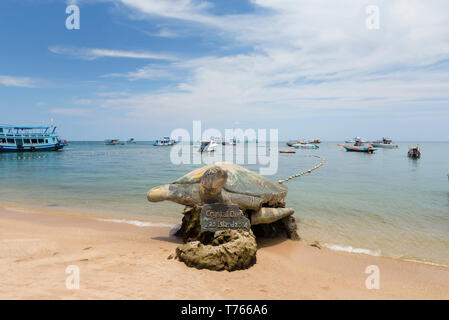 Turtle Denkmal auf Mae Haad Beach, Koh Tao, Thailand Stockfoto