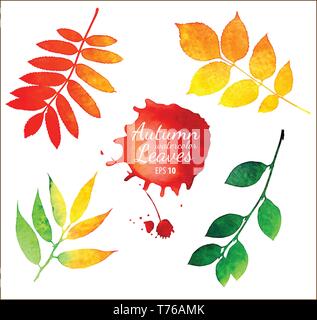 Vektor aquarell Herbstlaub Sammlung Stock Vektor