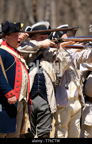 Reenactors der amerikanischen Armee feuerte Musketen in Jockey hohlen Historical Park während der jährlichen Jockey hohlen Feldlager. Harding. New Jersey USA Stockfoto
