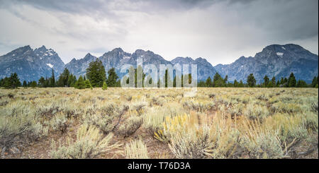 Grand Tetons National Park, USA Stockfoto