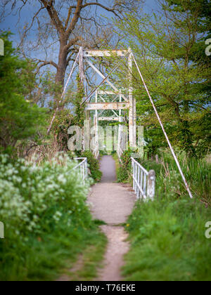 Alte, Oxidation, weiße Suspension Bridge in die grüne Landschaft am Fluss Avon crossing am Burgate, Berka/Werra, Hampshire, England, Großbritannien Stockfoto