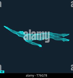 3D-Schwimmen Mann. Vektor Bild von einem Schwimmer. Menschlichen Körper. Sport Symbol. Design Element. Stock Vektor