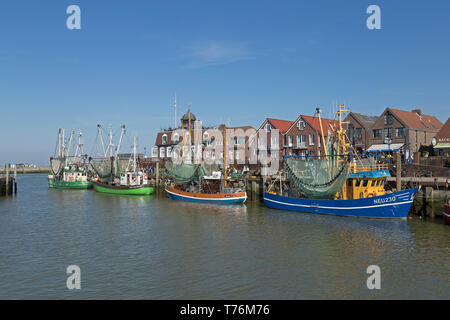 Fischereihafen, Neuharlingersiel, Ostfriesland, Niedersachsen, Deutschland Stockfoto