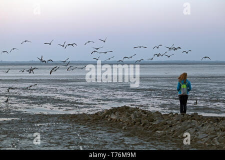 Schlamm flach, Neuharlingersiel, Ostfriesland, Niedersachsen, Deutschland Stockfoto