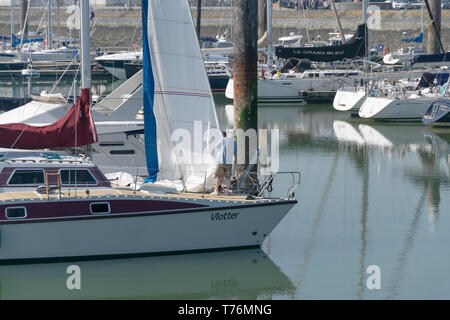 Breskens, Niederlande, 21. April 2019, ein Mann seine Segel ist die Inspektion in der Marina in Breskens in den Niederlanden Stockfoto