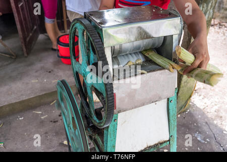 Crush Maschine arbeiten mit zerquetschten Zuckerrohr in homegrown Store Stockfoto
