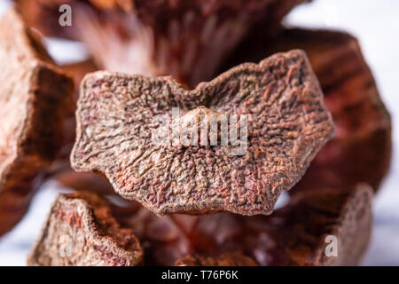 Eine getrocknete Beerenzapfen auf einer weiß lackierten Holz- Hintergrund close-up Stockfoto